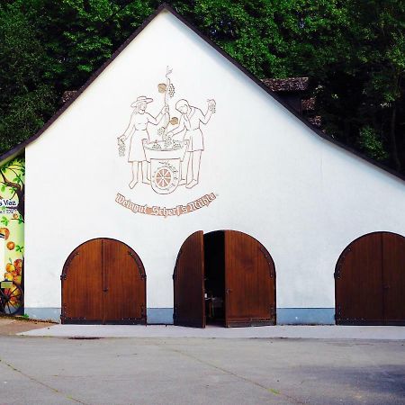 Scherfsmuehle Am Muehlbach Waldrach Ngoại thất bức ảnh